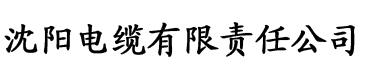 胡秀英小雷二人一世界电缆厂logo